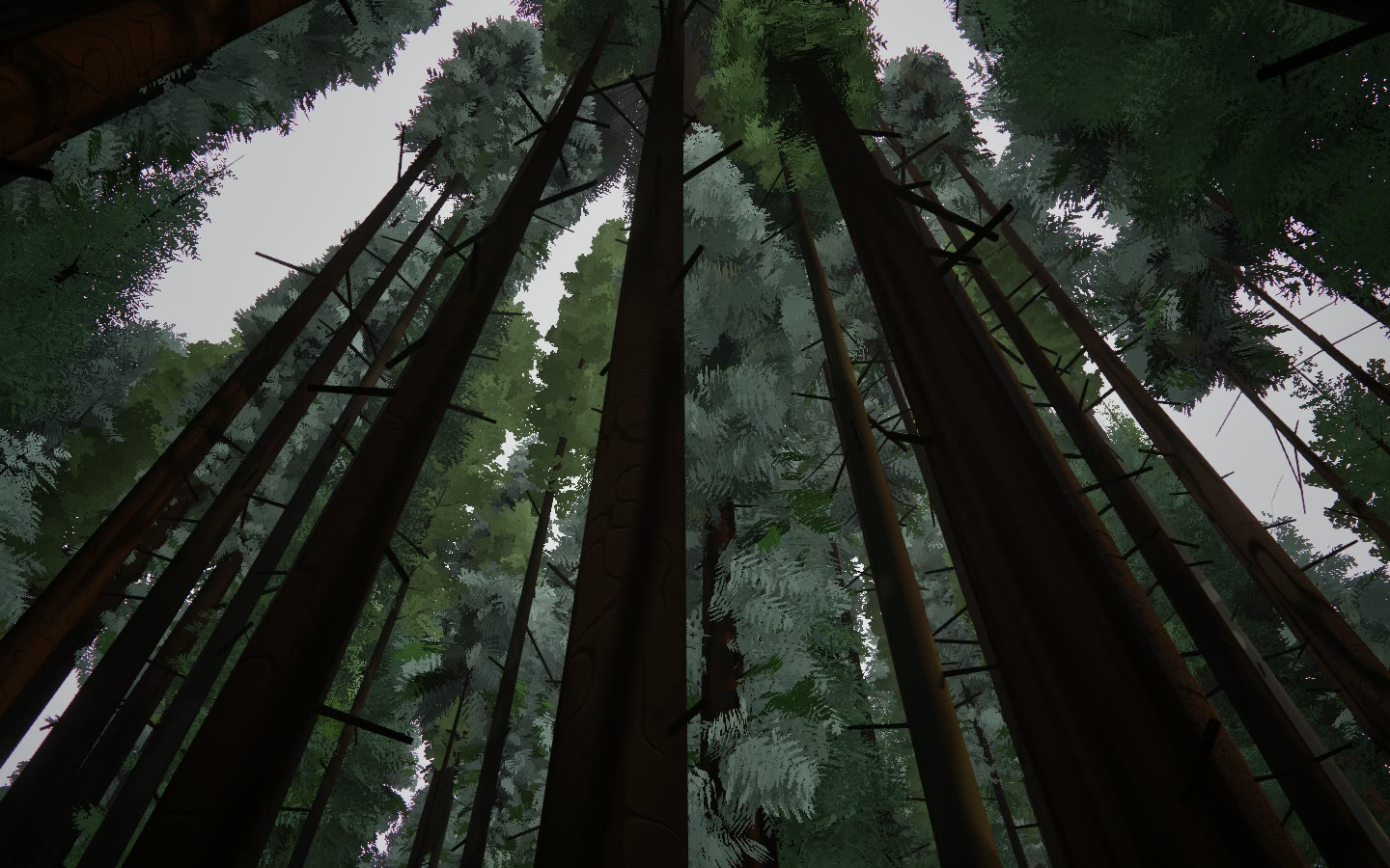 Looking straight up tall conifer trunks into the canopy, rendered by the engine. No person is in the frame.
