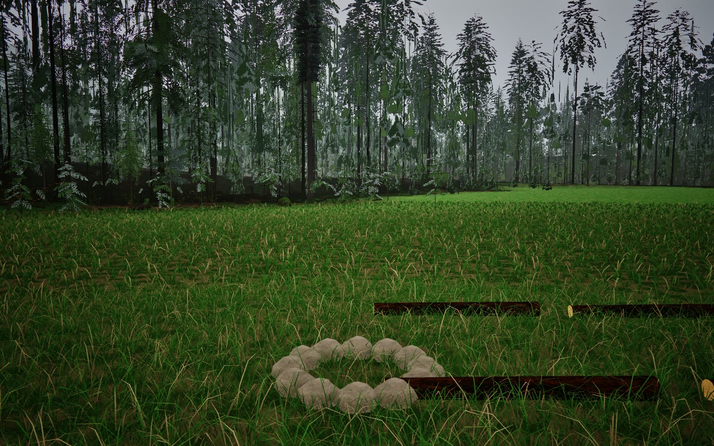 A grass clearing at eye height, looking south to the forest edge, with a ring of stones and two logs in the foreground under an overcast sky. No person is in the frame.