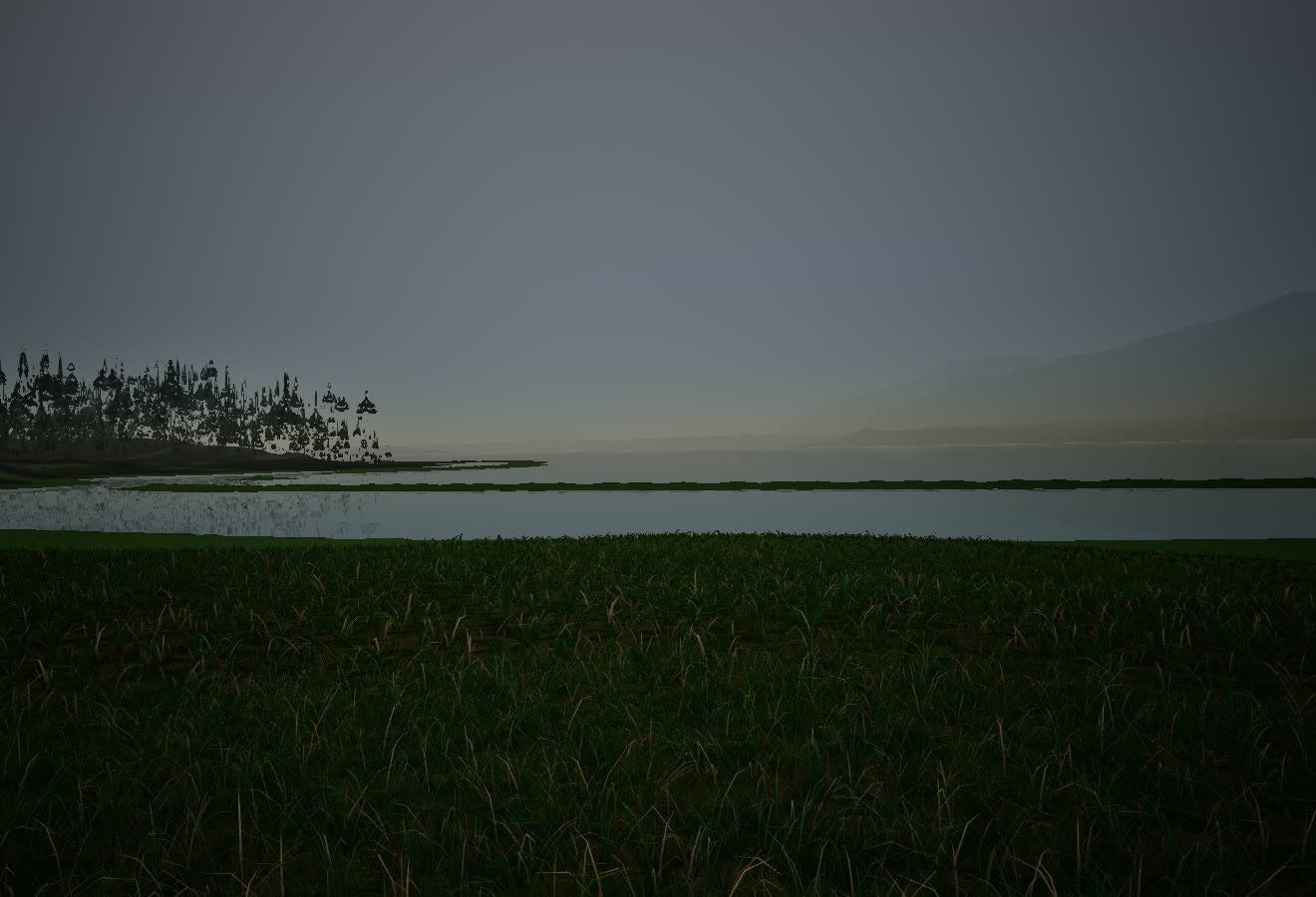 Lake Quinault from its east end at eye height, looking west: grass in the foreground, a strip of still water, a wooded point at the left and a ridge at the right under a grey sky. No person is in the frame.